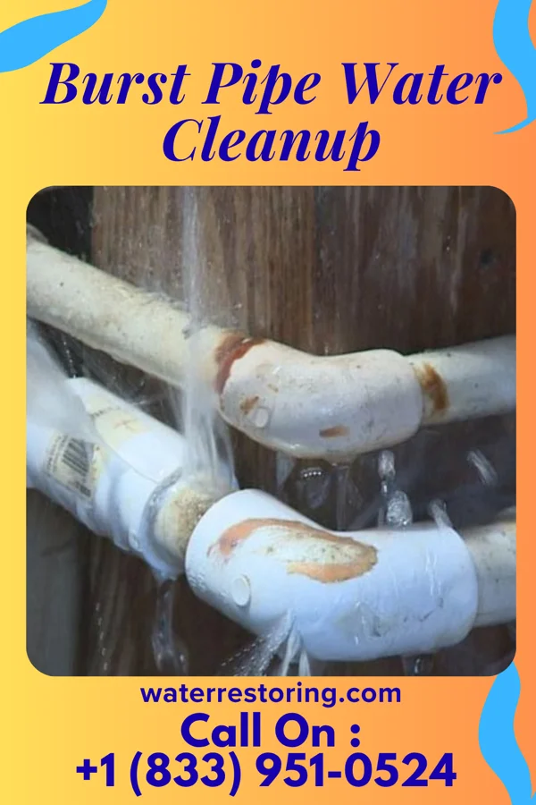 Burst Pipe Water Cleanup in West Brownsville, PA
