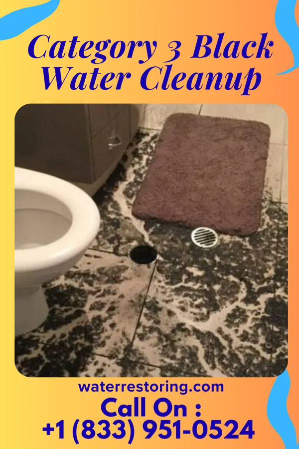 Category 3 Black Water Cleanup in West Brownsville, PA
