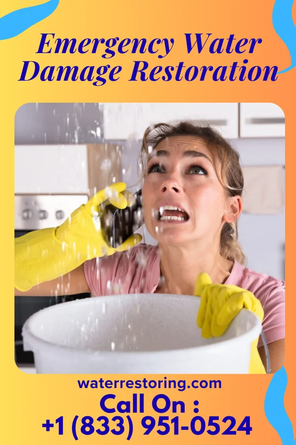 Emergency Water Damage Restoration in West Brownsville, PA