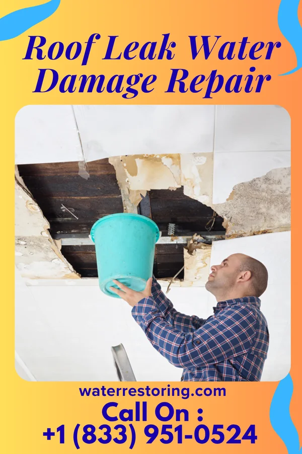 Roof Leak Water Damage Repair in West Brownsville, PA