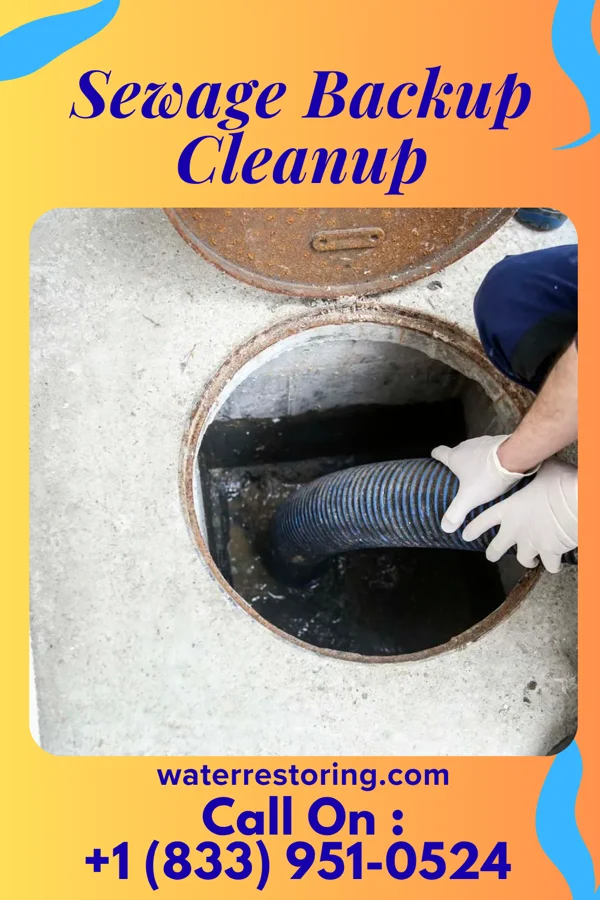 Sewage Backup Cleanup in West Brownsville, PA