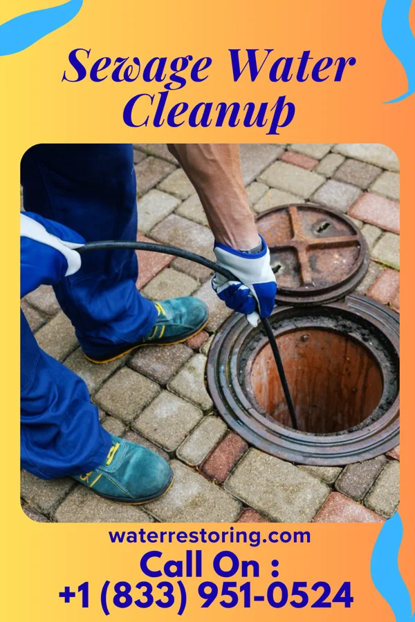 Sewage Water Cleanup in West Brownsville, PA